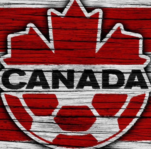 Meet your Posher, Steven - Picture 1 of 1